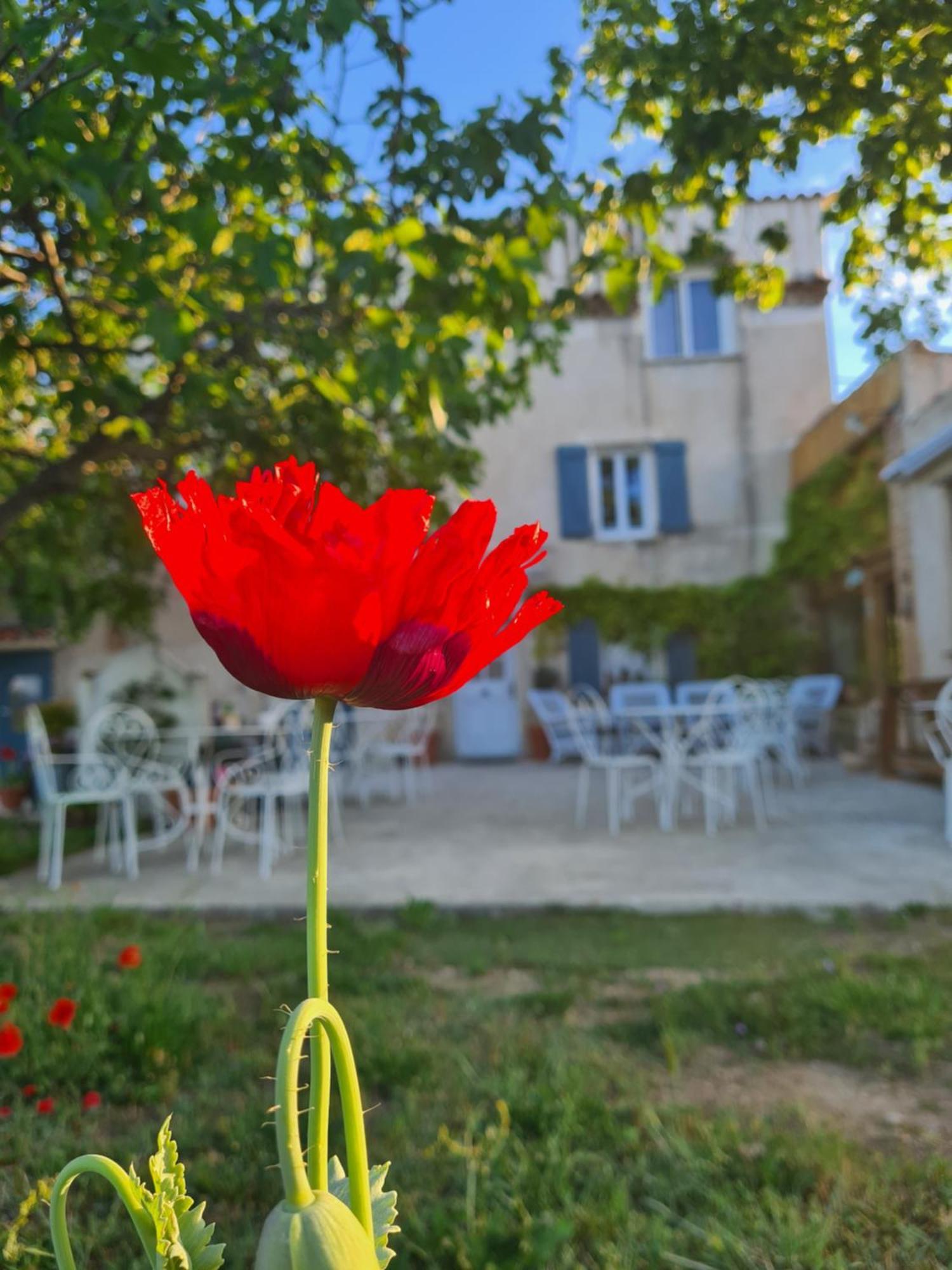 La Ferme Constantin Villa Fayence Cameră foto